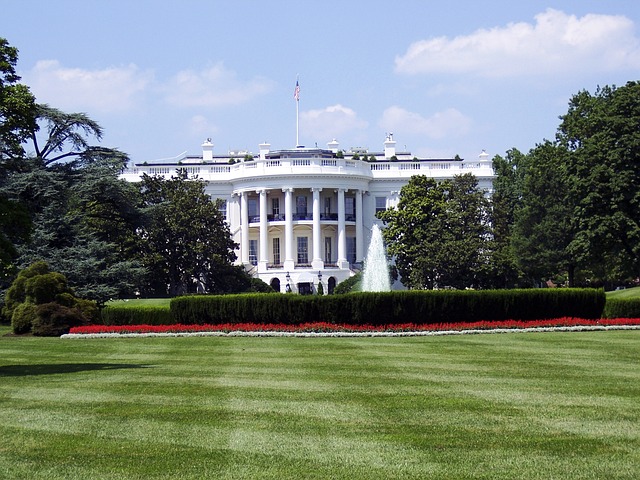White-House